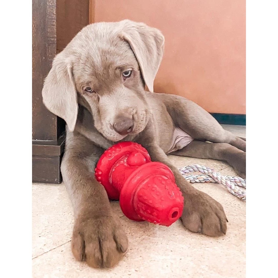 Spunky Pup The Hydrant Chew Toy for Dogs, Small