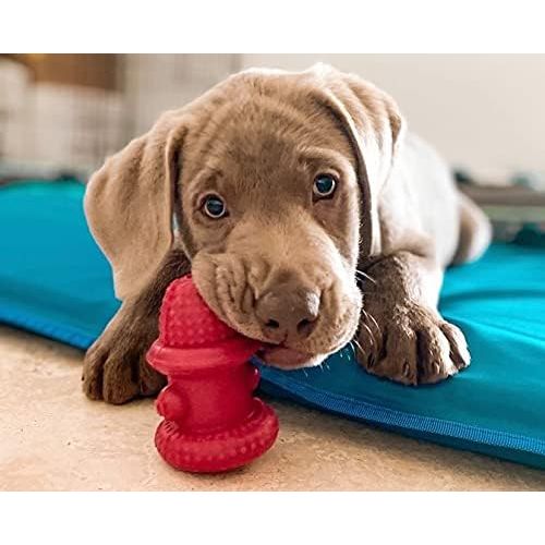 Spunky Pup The Hydrant Chew Toy for Dogs, Small