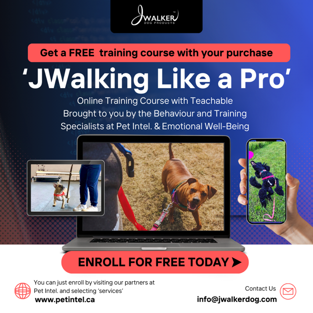 JWalker Side Attachment No-Pull Dog Harness, Raspberry