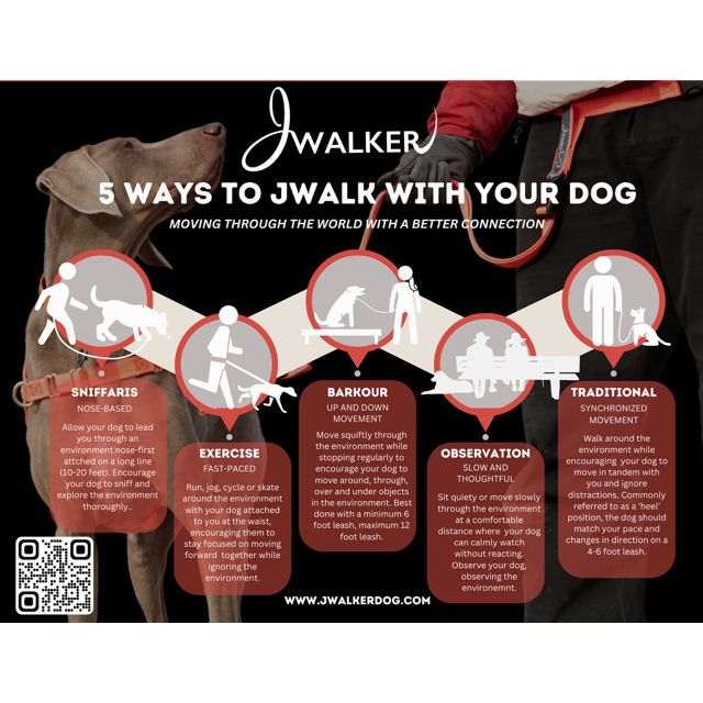 JWalker Side Attachment No-Pull Dog Harness, Raspberry