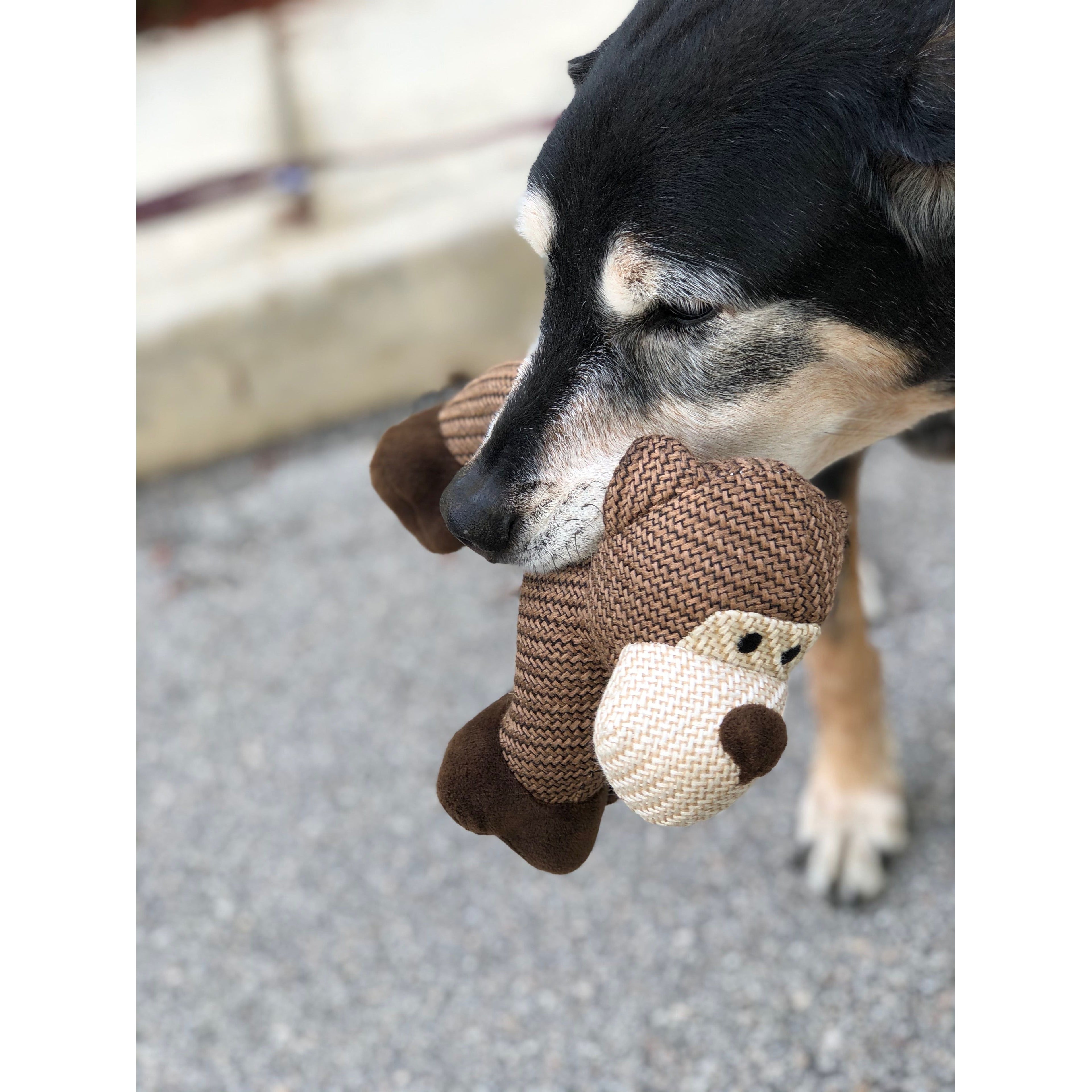 WOOZAPET Minimalist Squeaky Interactive Dog Toy