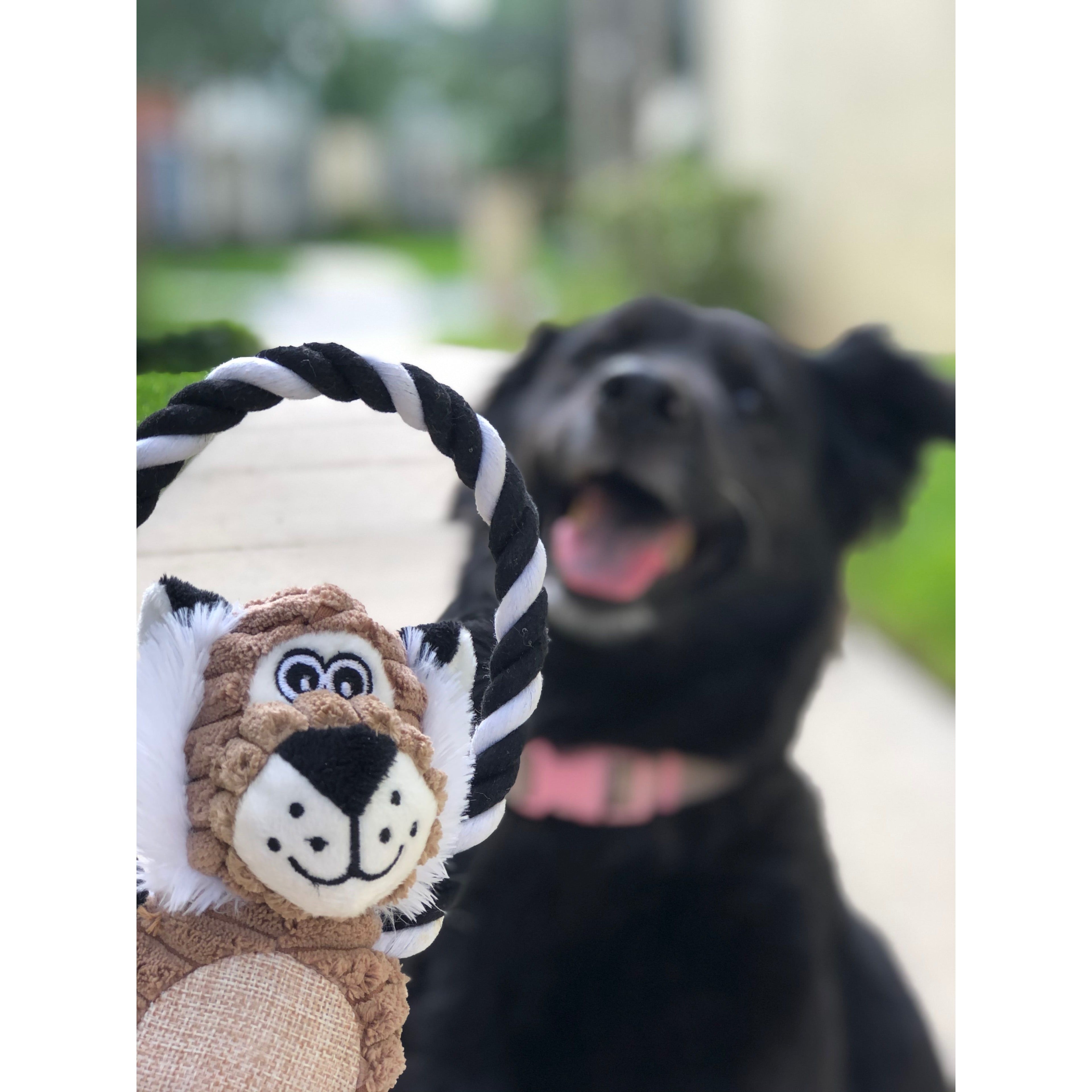 Rope-Stuffed-Animals-Toy.jpg