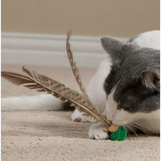 Go Cat Kitty Kopter Cat Toy, Throw Toy with Feathers That Spins in The Air