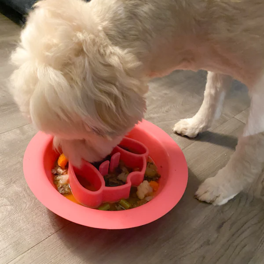 Spunky Pup Duo Slow Feeder Bowl & Lick Pad Combo