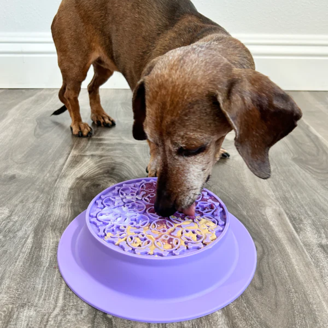 Spunky Pup Duo Slow Feeder Bowl & Lick Pad Combo