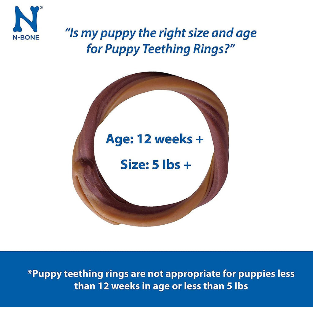 N-Bone Puppy Teething Ring Pumpkin Flavor 7.2 Oz (6 Count)