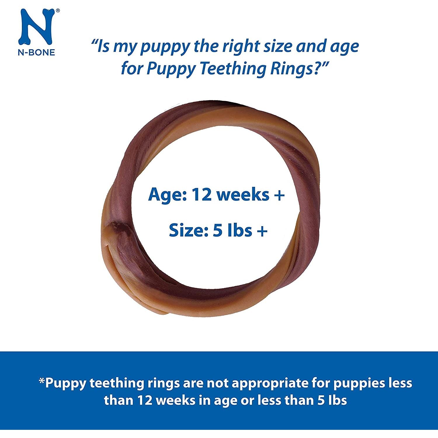 N-Bone Puppy Teething Ring Pumpkin Flavor 7.2 Oz (6 Count)