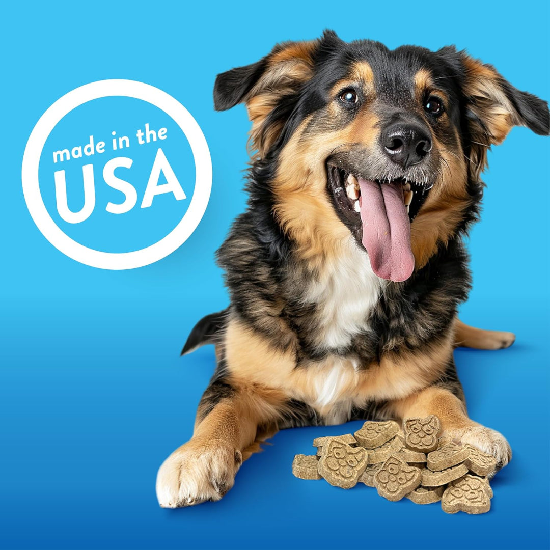 Spunky Pup Crunchy Biscuit Treats, 10 oz