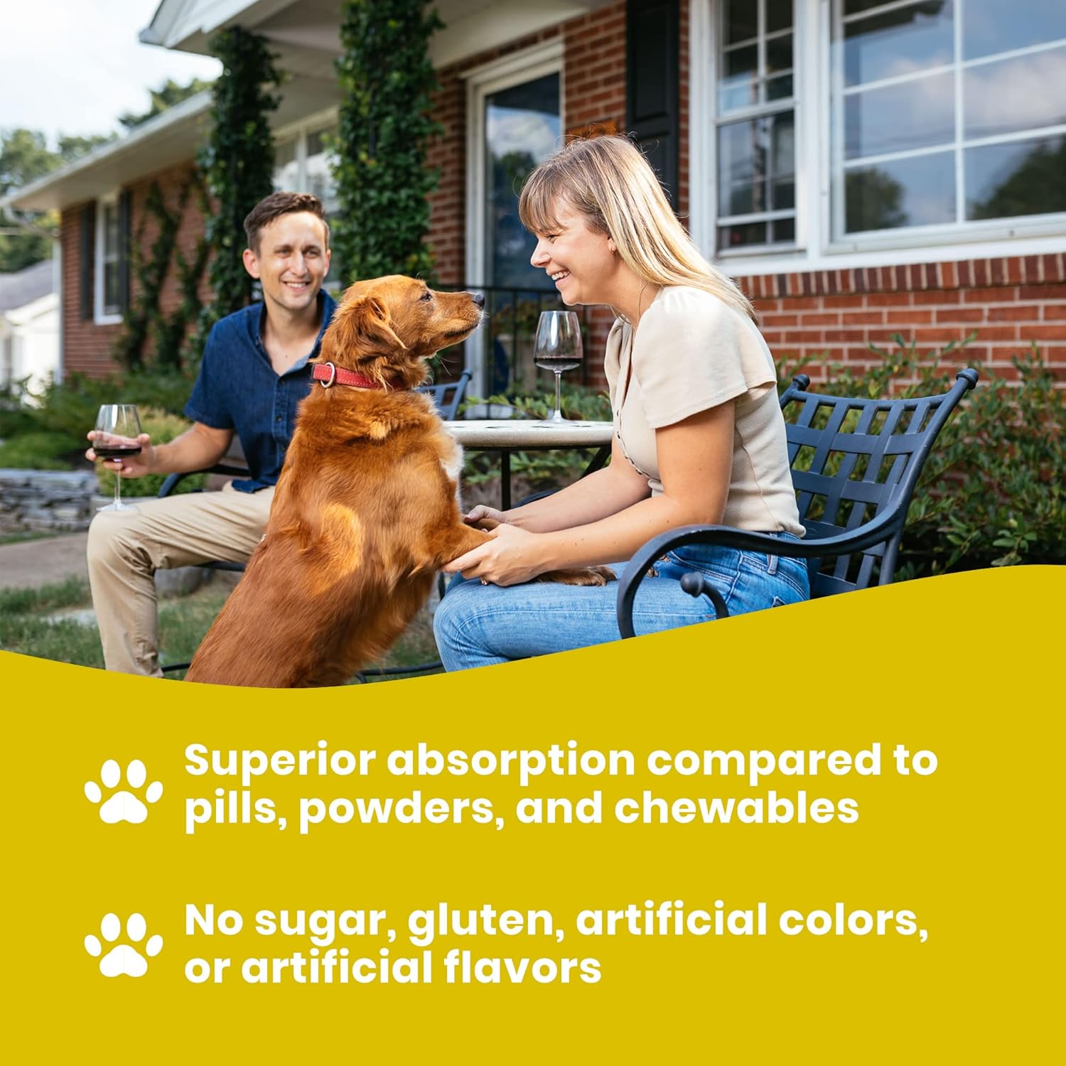 Paramount Pet Health Liquid Vitamins Skin & Coat Support Dog Supplement