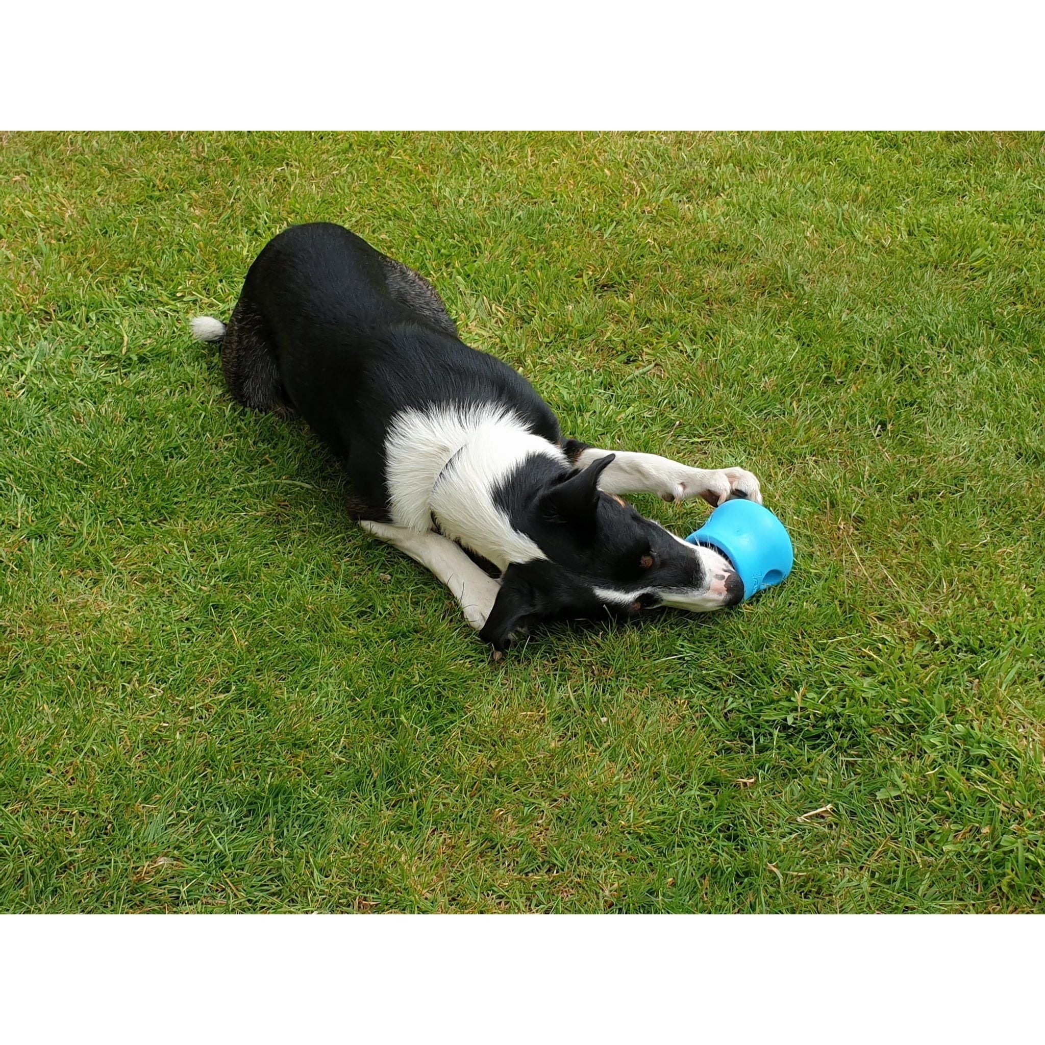 West Paw Zogoflex Toppl Treat Dispensing Dog Toy Puzzle X-Large